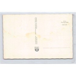 Rare collectable postcards of GERMANY Deutschland. Vintage Postcards of GERMANY Deutschland