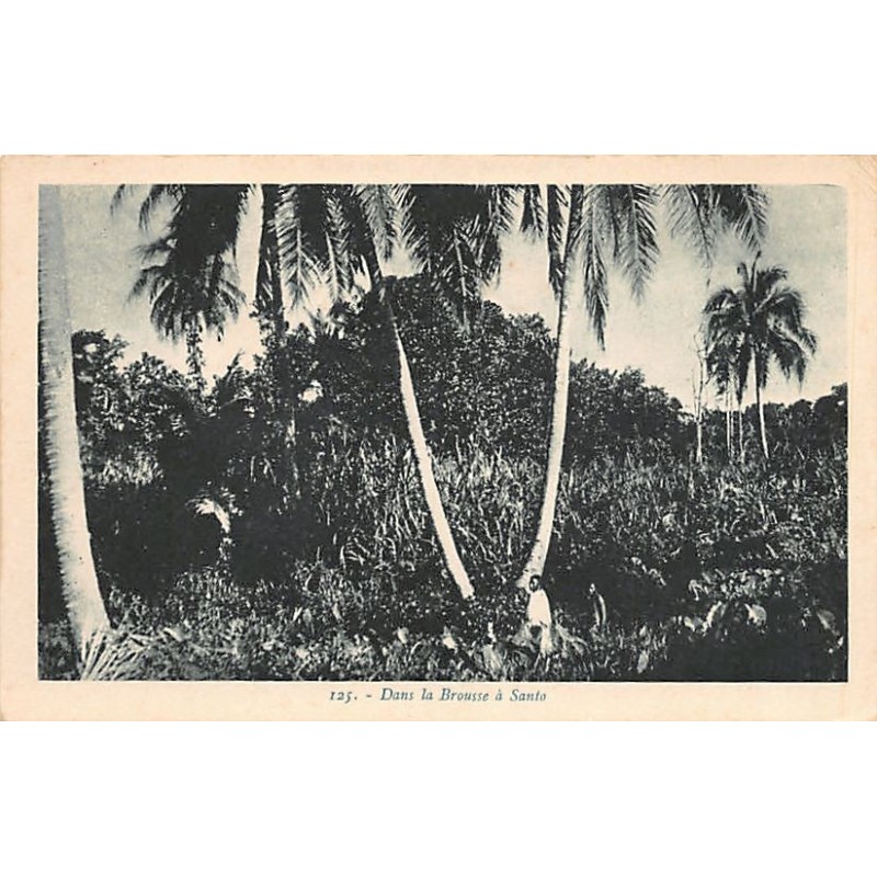 Rare collectable postcards of VANUATU. Vintage Postcards of VANUATU