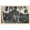 Rare collectable postcards of VANUATU. Vintage Postcards of VANUATU