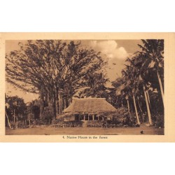 Samoa - Native house in the...