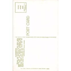 Rare collectable postcards of SAMOA. Vintage Postcards of SAMOA