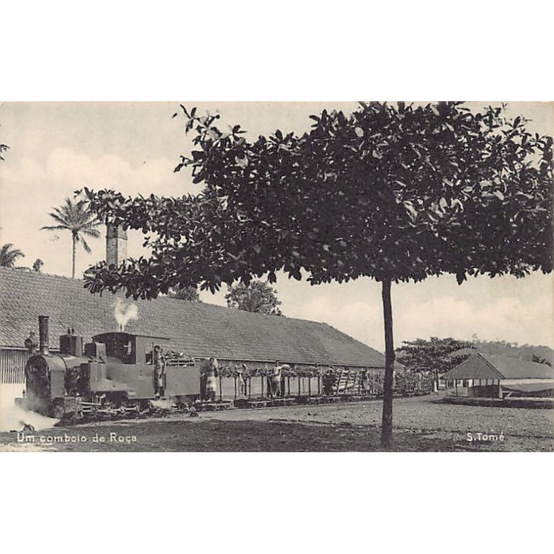 Rare collectable postcards of SAO TOME & PRINCIPE. Vintage Postcards of SAO TOME & PRINCIPE