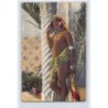 Rare collectable postcards of ETHNIC NUDE. Vintage Postcards of ETHNIC NUDE