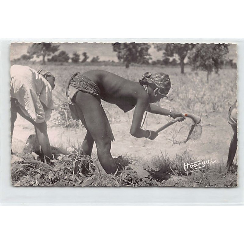 Rare collectable postcards of ETHNIC NUDE. Vintage Postcards of ETHNIC NUDE