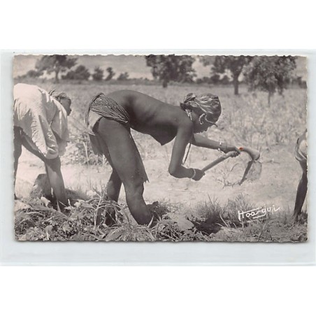 Rare collectable postcards of ETHNIC NUDE. Vintage Postcards of ETHNIC NUDE