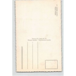Rare collectable postcards of ETHNIC NUDE. Vintage Postcards of ETHNIC NUDE