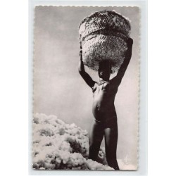 Rare collectable postcards of ETHNIC NUDE. Vintage Postcards of ETHNIC NUDE