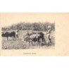 Rare collectable postcards of INDIA. Vintage Postcards of INDIA