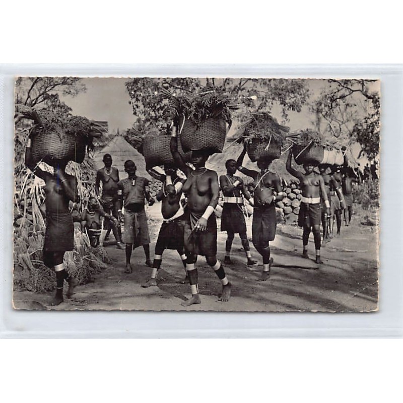 Rare collectable postcards of ETHNIC NUDE. Vintage Postcards of ETHNIC NUDE