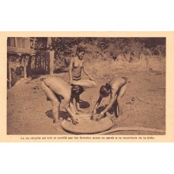 Rare collectable postcards of ETHNIC NUDE. Vintage Postcards of ETHNIC NUDE