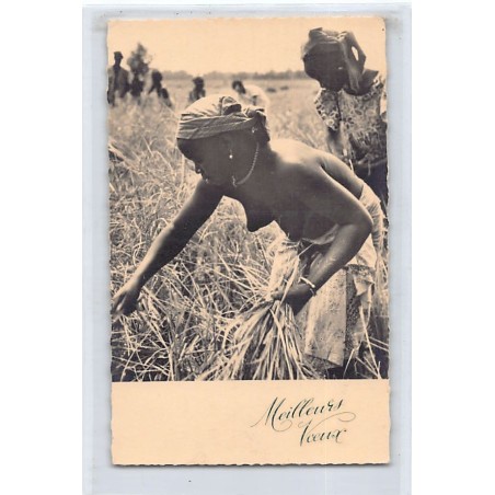 Rare collectable postcards of ETHNIC NUDE. Vintage Postcards of ETHNIC NUDE