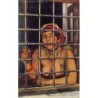 Rare collectable postcards of ETHNIC NUDE. Vintage Postcards of ETHNIC NUDE