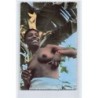 Rare collectable postcards of ETHNIC NUDE. Vintage Postcards of ETHNIC NUDE