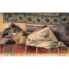 Rare collectable postcards of ETHNIC NUDE. Vintage Postcards of ETHNIC NUDE