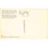 Rare collectable postcards of ETHNIC NUDE. Vintage Postcards of ETHNIC NUDE