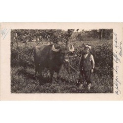 Rare collectable postcards of GREECE. Vintage Postcards of GREECE