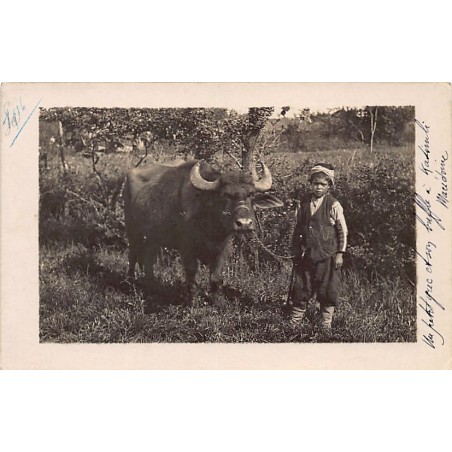 Rare collectable postcards of GREECE. Vintage Postcards of GREECE