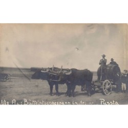 Rare collectable postcards of HUNGARY. Vintage Postcards of HUNGARY