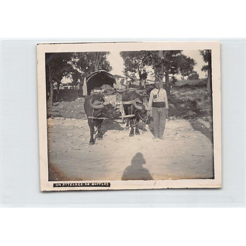 Rare collectable postcards of MACEDONIA. Vintage Postcards of MACEDONIA