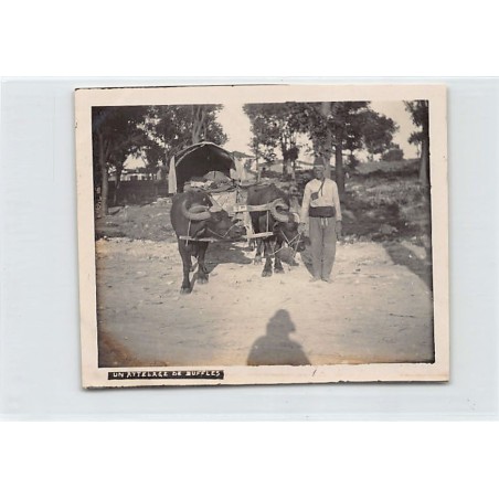 Rare collectable postcards of MACEDONIA. Vintage Postcards of MACEDONIA