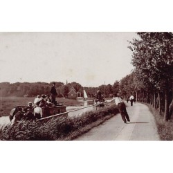 Rare collectable postcards of NEDERLAND. Vintage Postcards of NEDERLAND