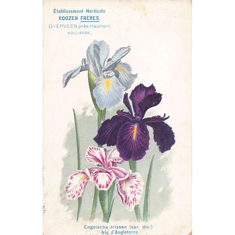 Rare collectable postcards of NEDERLAND. Vintage Postcards of NEDERLAND