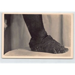 Rare collectable postcards of CONGO Kinshasa. Vintage Postcards of CONGO Kinshasa