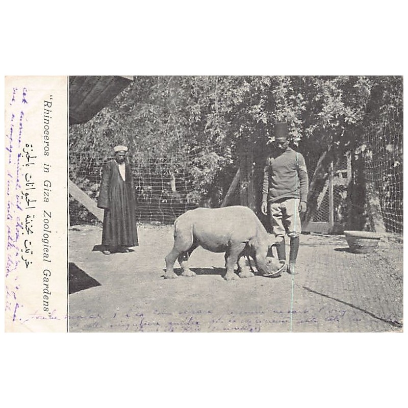 Rare collectable postcards of EGYPT. Vintage Postcards of EGYPT