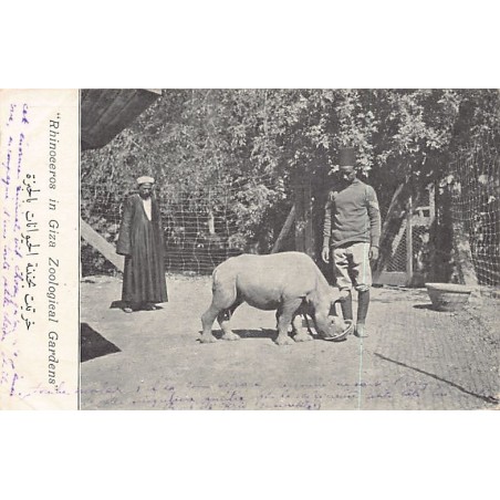 Rare collectable postcards of EGYPT. Vintage Postcards of EGYPT