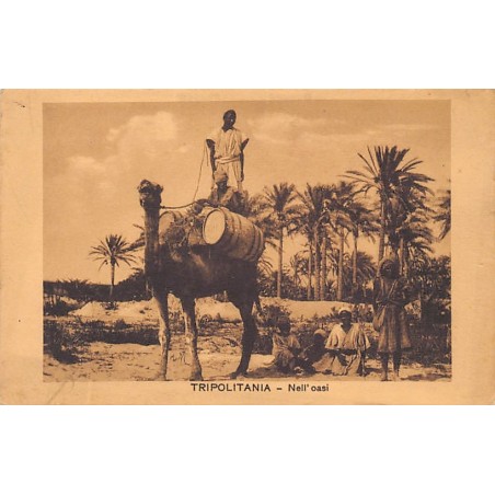 Rare collectable postcards of LIBYA. Vintage Postcards of LIBYA