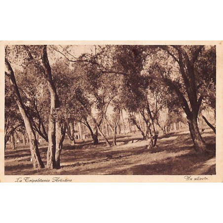 Rare collectable postcards of LIBYA. Vintage Postcards of LIBYA