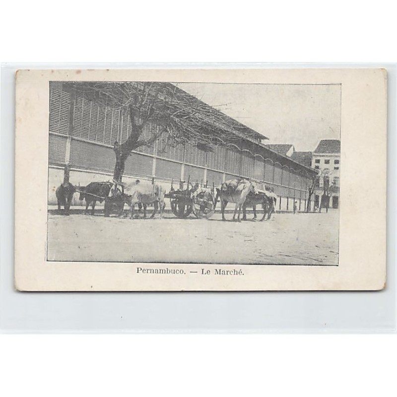 Rare collectable postcards of BRAZIL. Vintage Postcards of BRAZIL