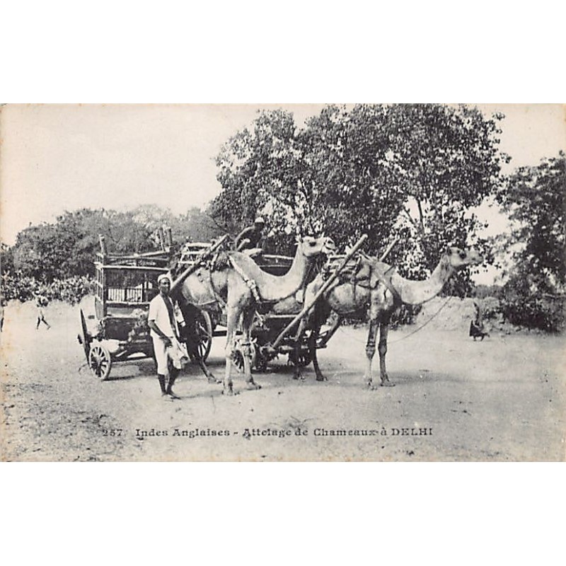 Rare collectable postcards of INDIA. Vintage Postcards of INDIA