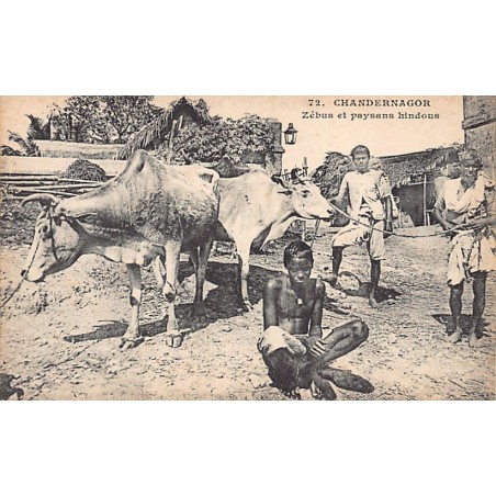 Rare collectable postcards of INDIA. Vintage Postcards of INDIA