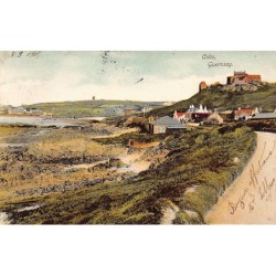 Guernsey - COBO - General view - Publ. The Woodbury Series 2414