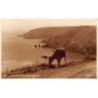 Guernsey - On the cliffs at Mouley Huet - REAL PHOTO - Publ. Judges Ltd. 4557