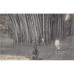 Rare collectable postcards of INDIA. Vintage Postcards of INDIA
