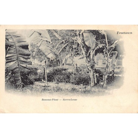 Rare collectable postcards of SIERRA LEONE. Vintage Postcards of SIERRA LEONE