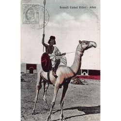 SOMALIA - Somali Camel...