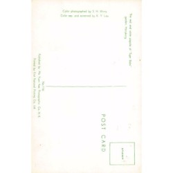 Rare collectable postcards of CHINA. Vintage Postcards of CHINA