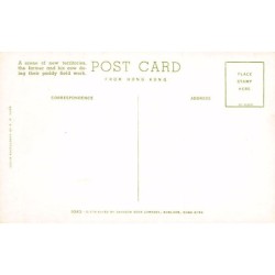 Rare collectable postcards of CHINA. Vintage Postcards of CHINA