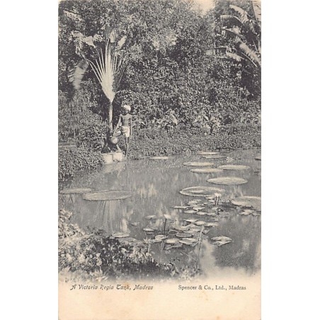 Rare collectable postcards of INDIA. Vintage Postcards of INDIA