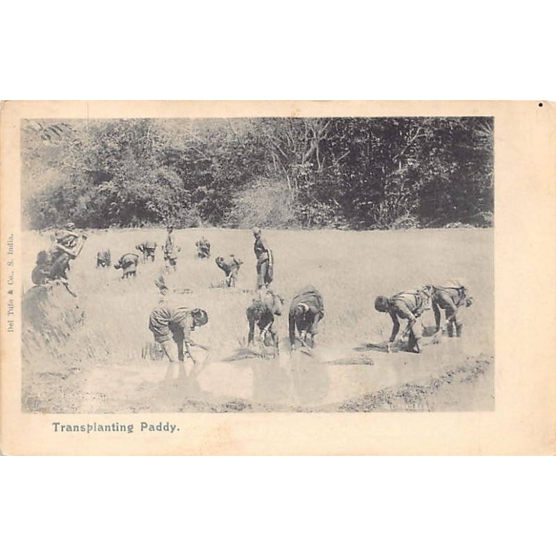 Rare collectable postcards of INDIA. Vintage Postcards of INDIA