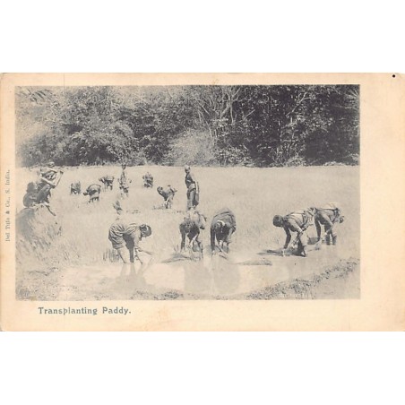 Rare collectable postcards of INDIA. Vintage Postcards of INDIA