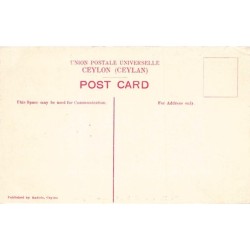 Rare collectable postcards of SRI LANKA. Vintage Postcards of SRI LANKA