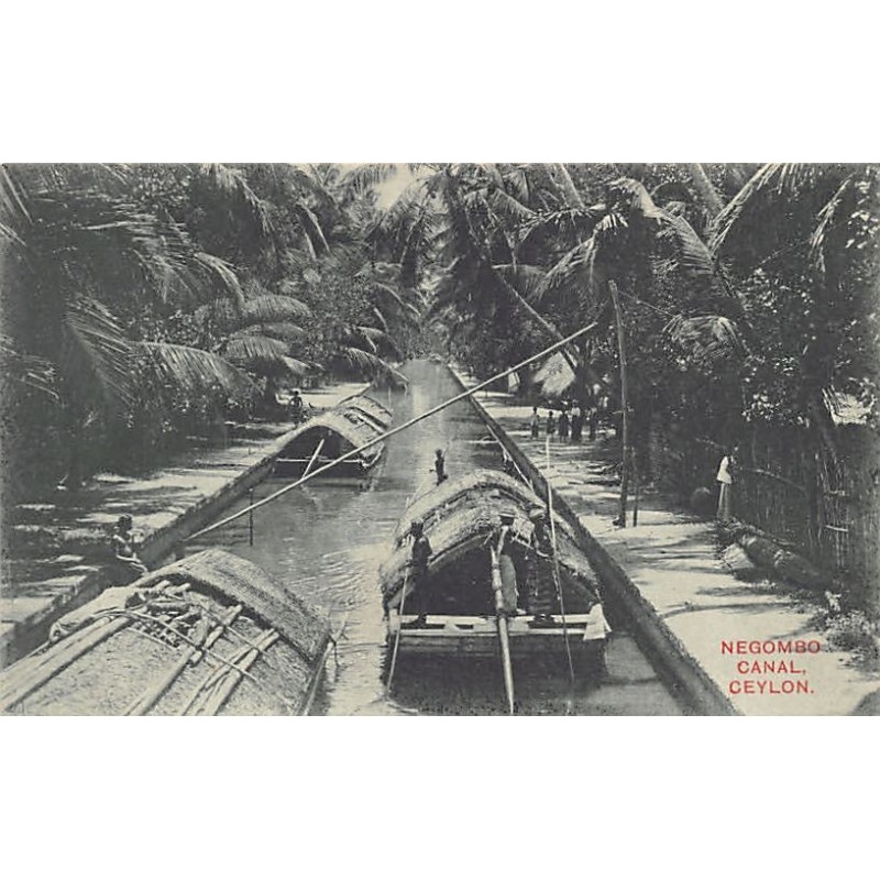 Rare collectable postcards of SRI LANKA. Vintage Postcards of SRI LANKA