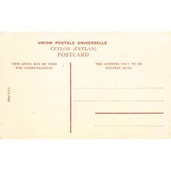 Rare collectable postcards of SRI LANKA. Vintage Postcards of SRI LANKA