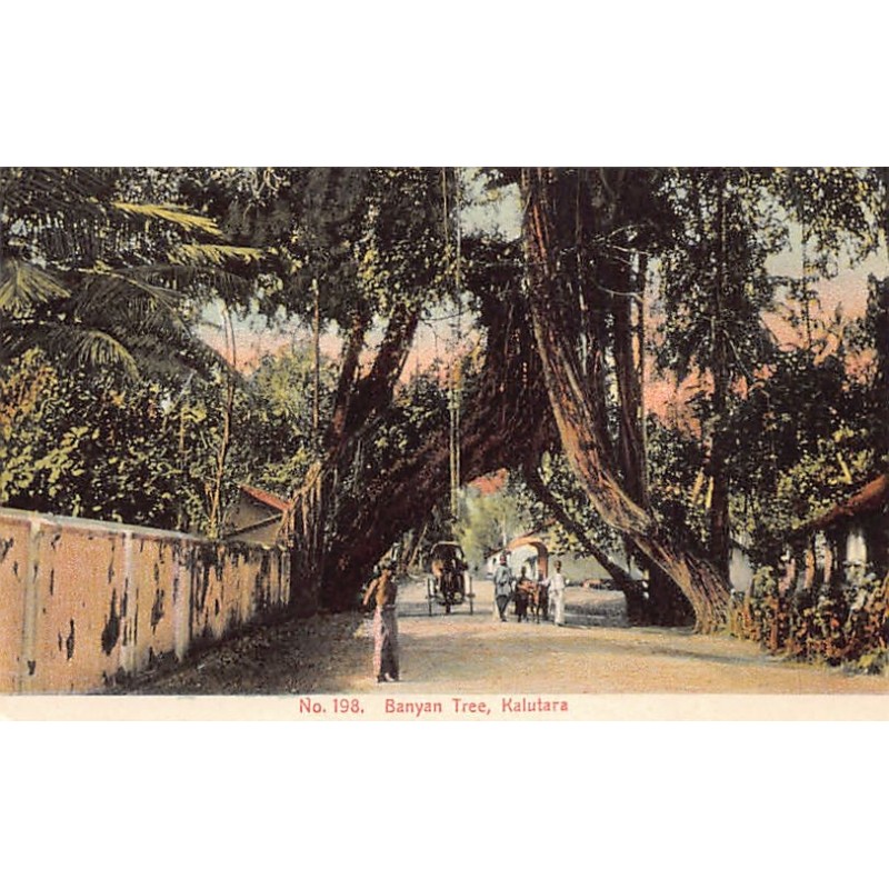 Rare collectable postcards of SRI LANKA. Vintage Postcards of SRI LANKA