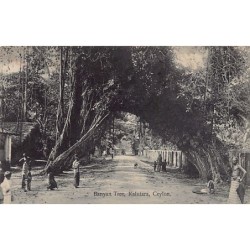 Rare collectable postcards of SRI LANKA. Vintage Postcards of SRI LANKA