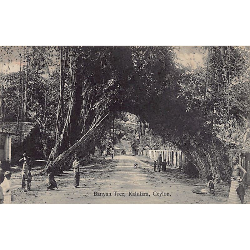 Rare collectable postcards of SRI LANKA. Vintage Postcards of SRI LANKA